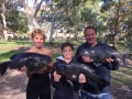 The Macca family, Jarod, Brad & Scott (Mosman Whalers) with a brace of Rock Blackfish 3.495kg, 3.990kg & 4.080kg