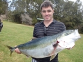 New diver from the Dolphins Aaron Wild, one fish weighed in a 13.9kg kingfish, how good is that!