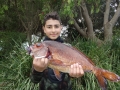 Young sub junior George Manolias made his dad and uncles proud with a 1.5kg red morwong.